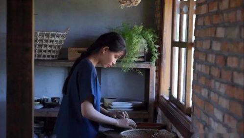 越南爆料博主视频大全最新,揭秘热点事件背后的真相